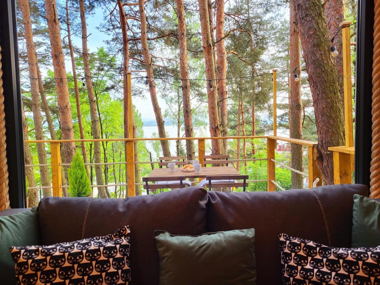 Domki Na Drzewach Skorochow Dış mekan fotoğraf